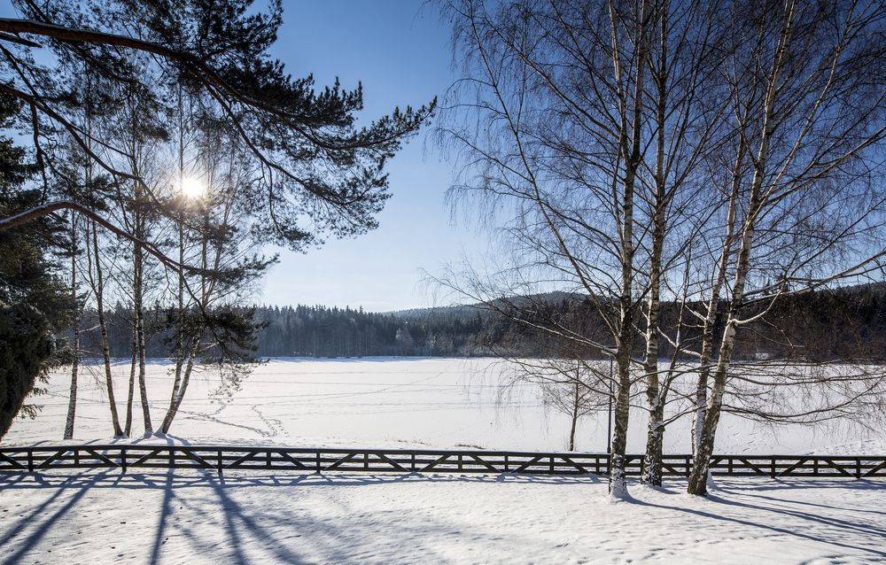 Orea Resort Devet Skal Vysocina Sněžné Bagian luar foto